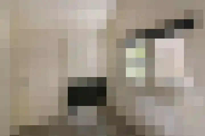 Breeuwer 89 Hoorn thumbnail 4