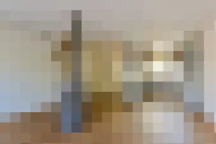 Breeuwer 89 Hoorn thumbnail 9