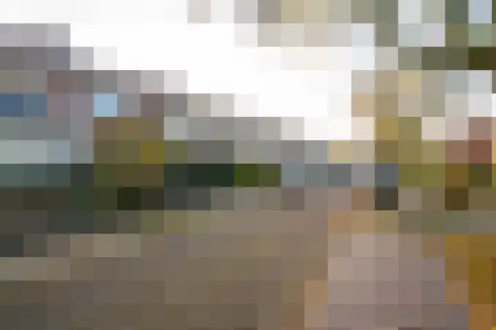 Breeuwerstraat 13 Dronten thumbnail 7