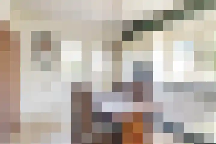 Breeweg 15 Yerseke thumbnail 13