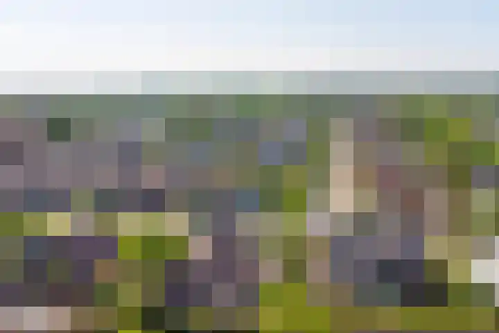 Breeweg 15 Yerseke thumbnail 34