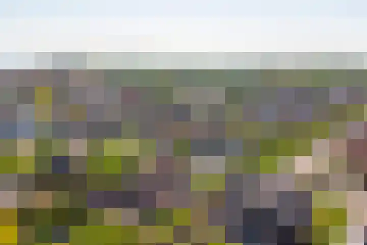 Breeweg 15 Yerseke thumbnail 35