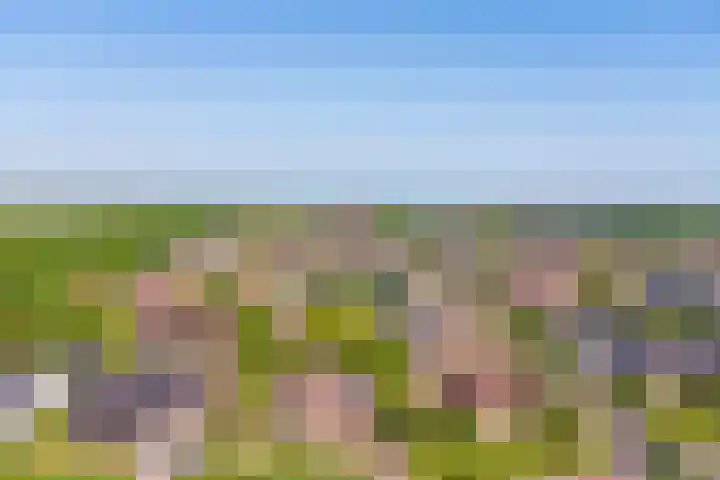 Breeweg 15 Yerseke thumbnail 36