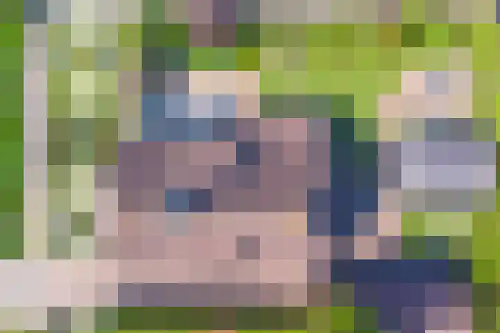 Breeweg 15 Yerseke thumbnail 37