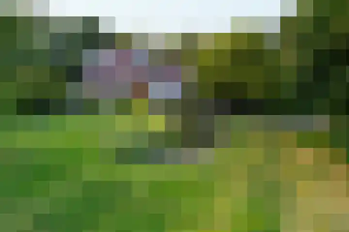 Breeweg 73 Middelburg thumbnail 10