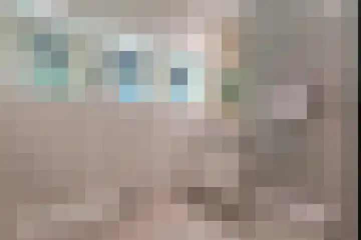 Breeweg 73 Middelburg thumbnail 17