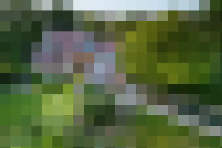 Breeweg 73 Middelburg thumbnail 5