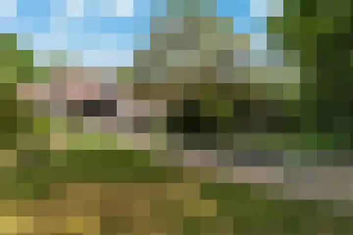 Breeweg 73 Middelburg thumbnail 59