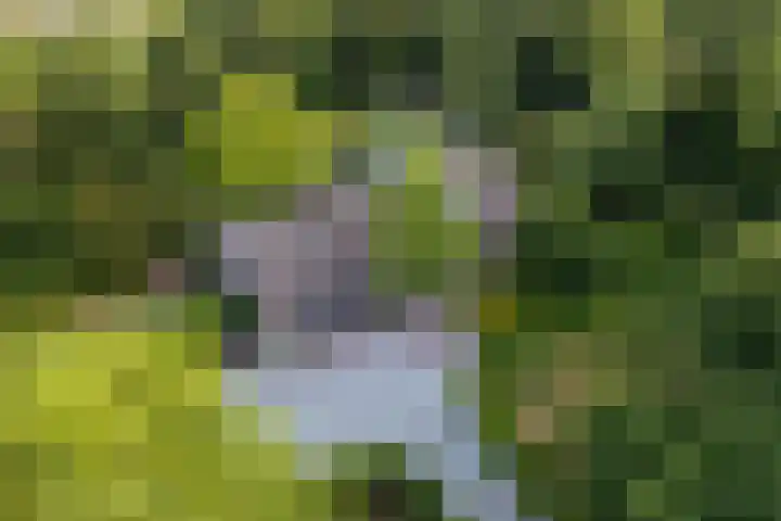 Breeweg 73 Middelburg thumbnail 6