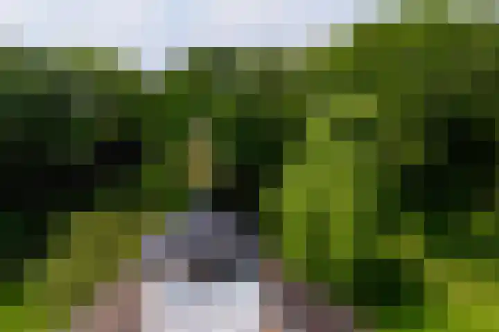 Breeweg 73 Middelburg thumbnail 66