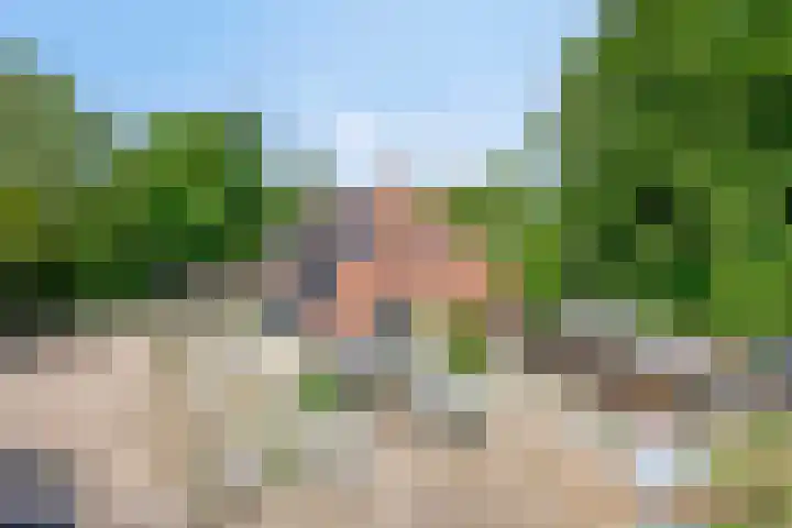 Breewei 22 Tijnje