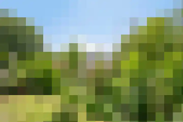Breewei 22 Tijnje thumbnail 10