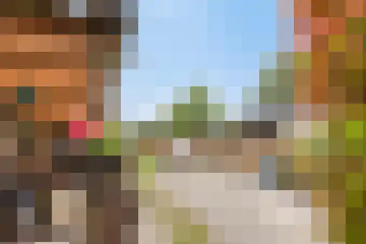 Breewei 22 Tijnje thumbnail 13
