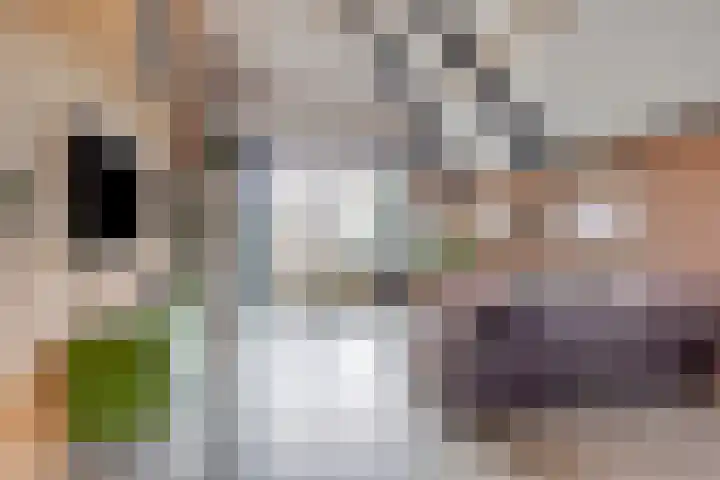 Breewei 22 Tijnje thumbnail 16