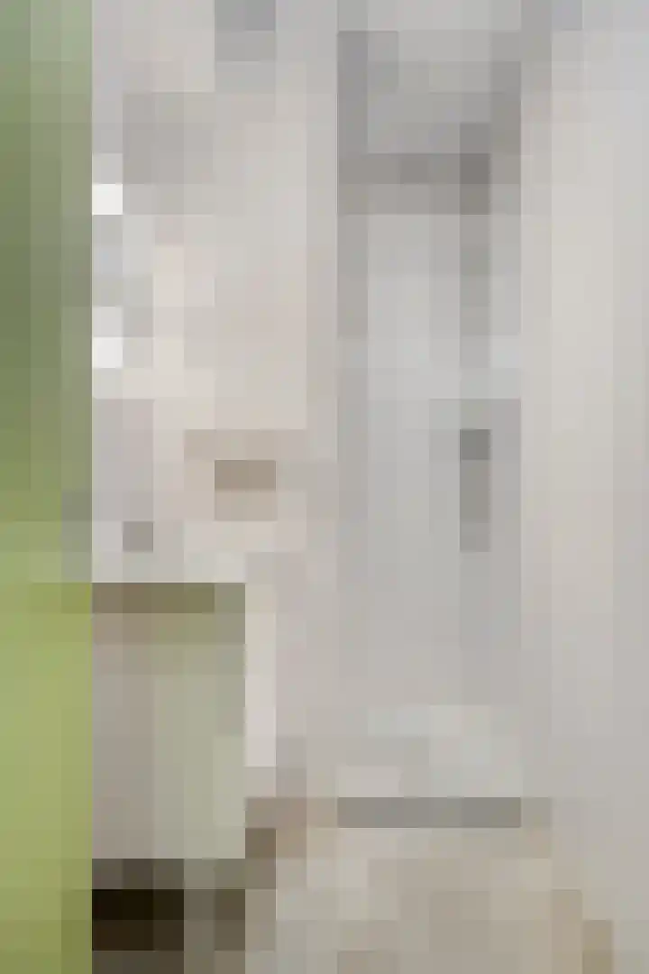 Breewei 22 Tijnje thumbnail 30