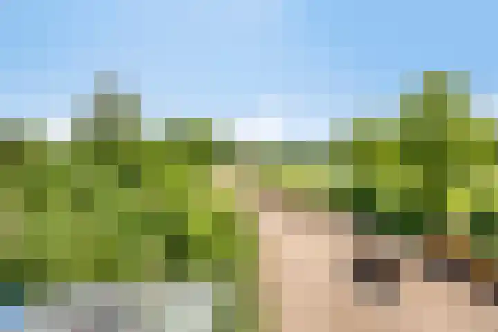 Breewei 22 Tijnje thumbnail 4