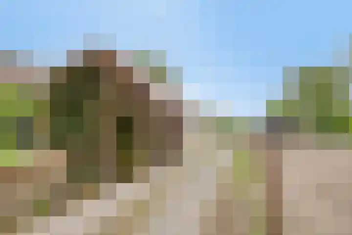 Breewei 22 Tijnje thumbnail 56