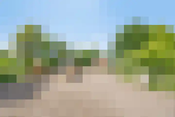 Breewei 22 Tijnje thumbnail 58