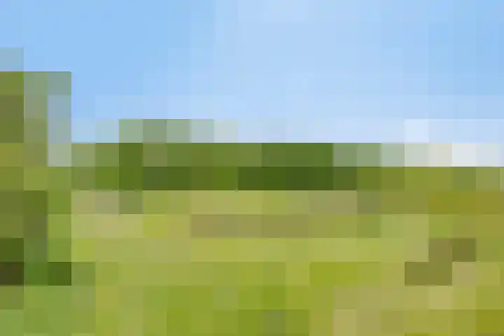 Breewei 22 Tijnje thumbnail 61