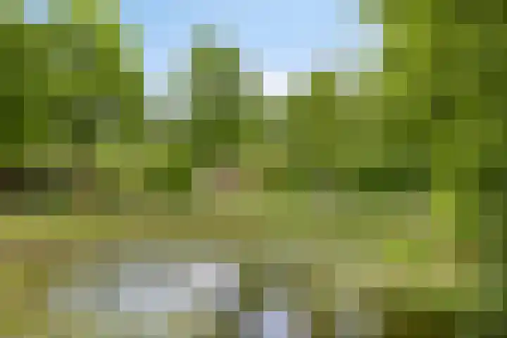 Breewei 22 Tijnje thumbnail 62