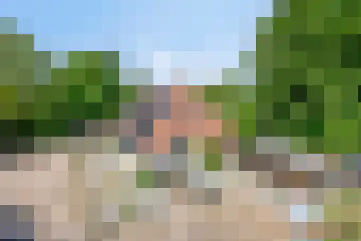 Breewei 22 Tijnje thumbnail 69