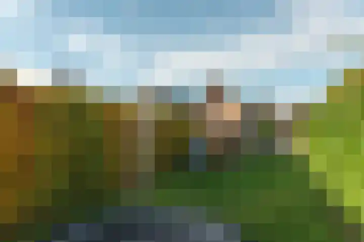 Breewei 30 Tijnje thumbnail 14