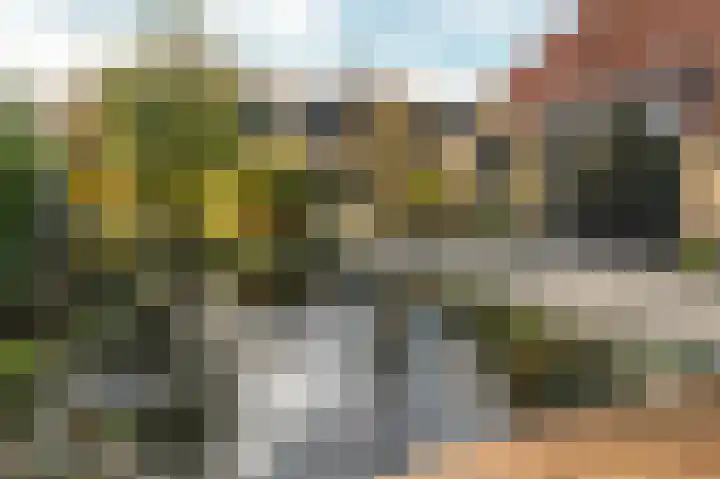 Breewei 30 Tijnje thumbnail 18
