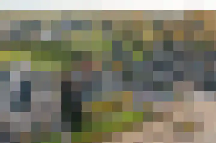 Breewei 30 Tijnje thumbnail 22
