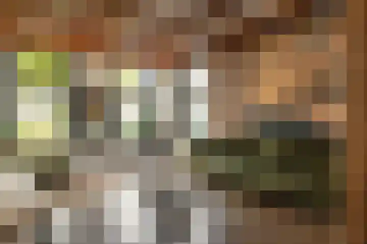 Breewei 30 Tijnje thumbnail 25