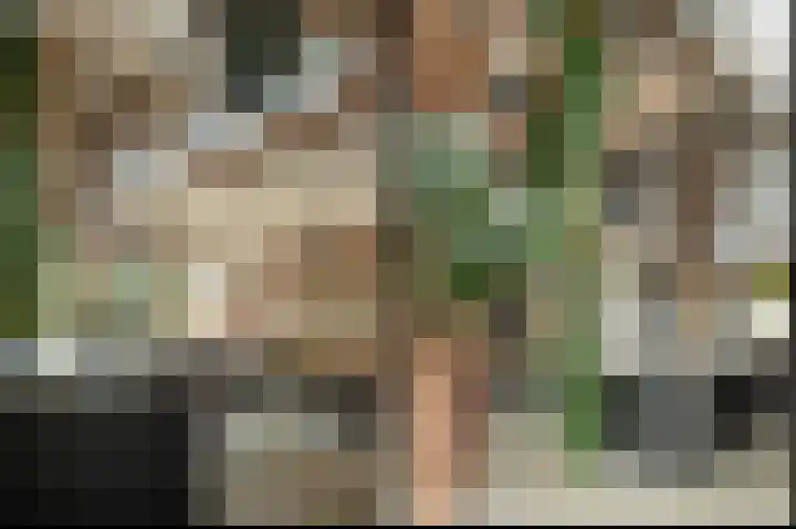 Breewei 30 Tijnje foto 3
