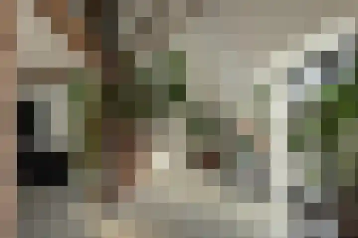 Breewei 30 Tijnje thumbnail 33