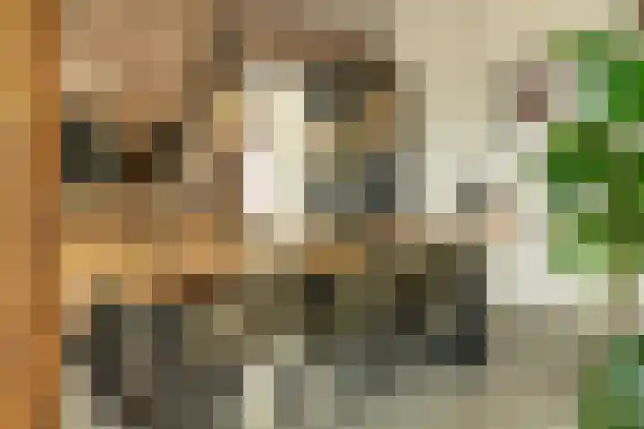 Breewei 30 Tijnje thumbnail 36