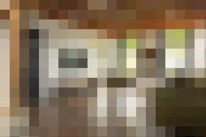 Breewei 30 Tijnje thumbnail 4