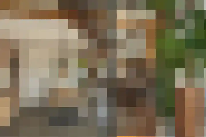 Breewei 30 Tijnje thumbnail 41