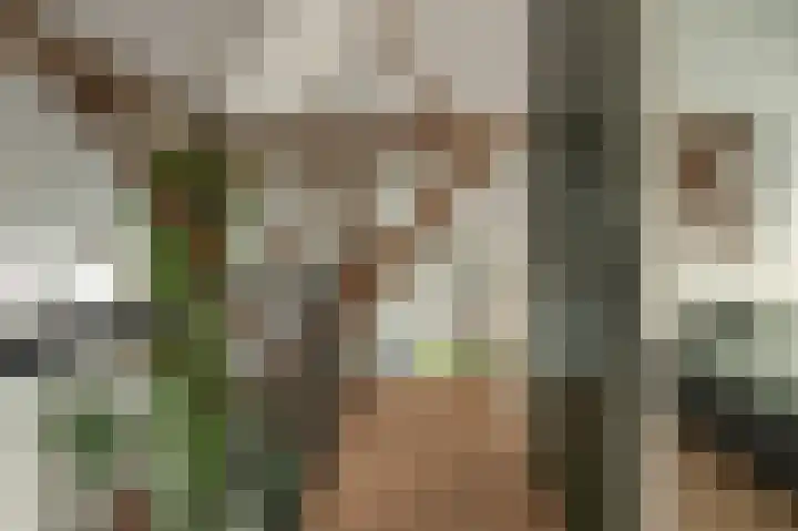 Breewei 30 Tijnje thumbnail 42