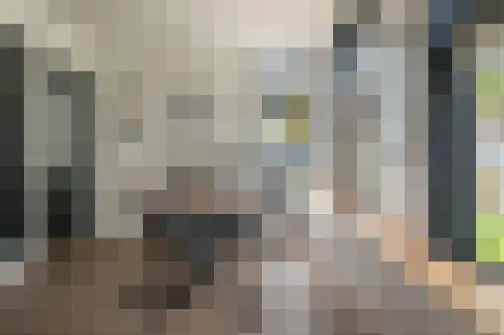 Breewei 30 Tijnje thumbnail 5