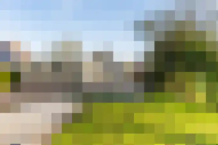 Breewei 75 A Tijnje thumbnail 10