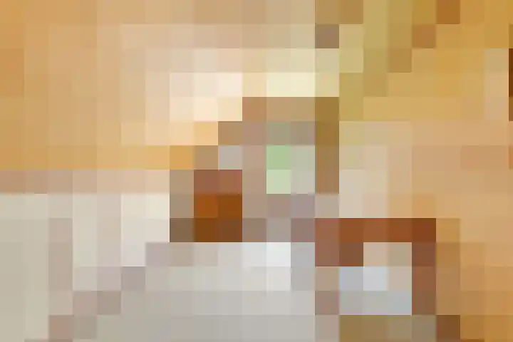 Breezand 20 Zeewolde thumbnail 25