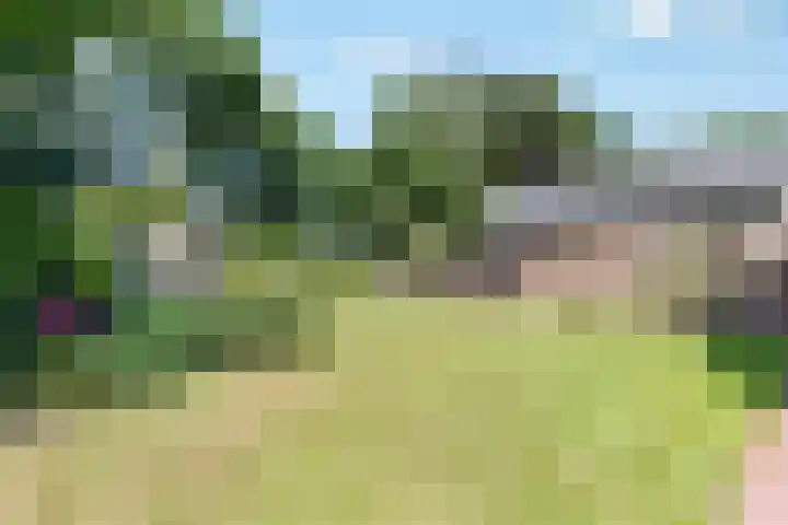 Breezand 20 Zeewolde thumbnail 32