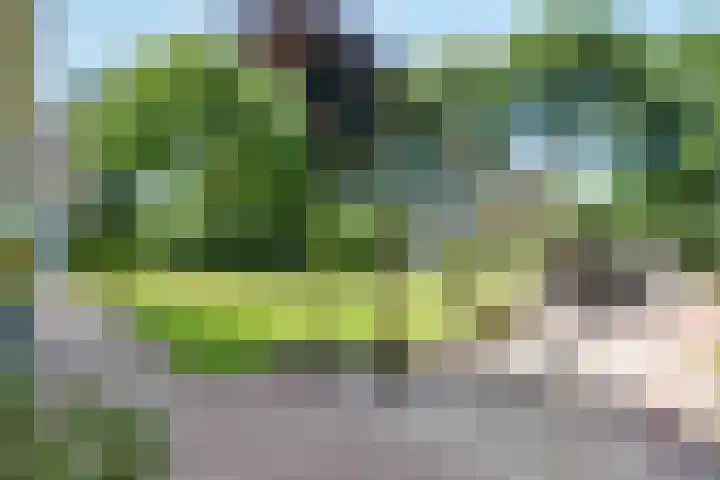 Breezand 20 Zeewolde thumbnail 33
