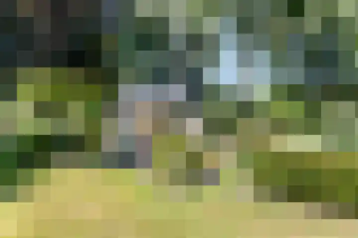 Breezand 20 Zeewolde thumbnail 35