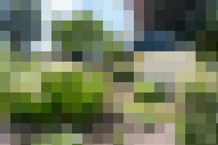 Breezand 20 Zeewolde thumbnail 36