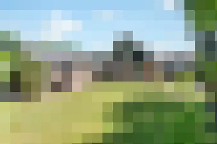 Breezand 20 Zeewolde thumbnail 39