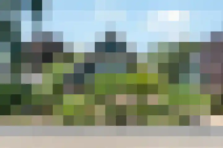 Breezand 20 Zeewolde thumbnail 4