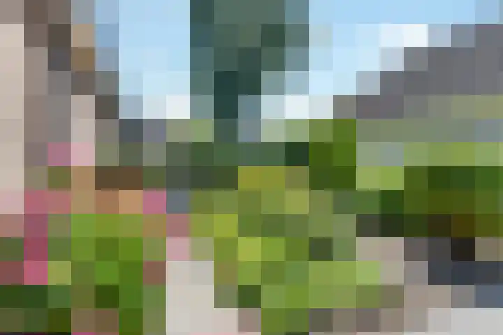 Breezand 20 Zeewolde thumbnail 40