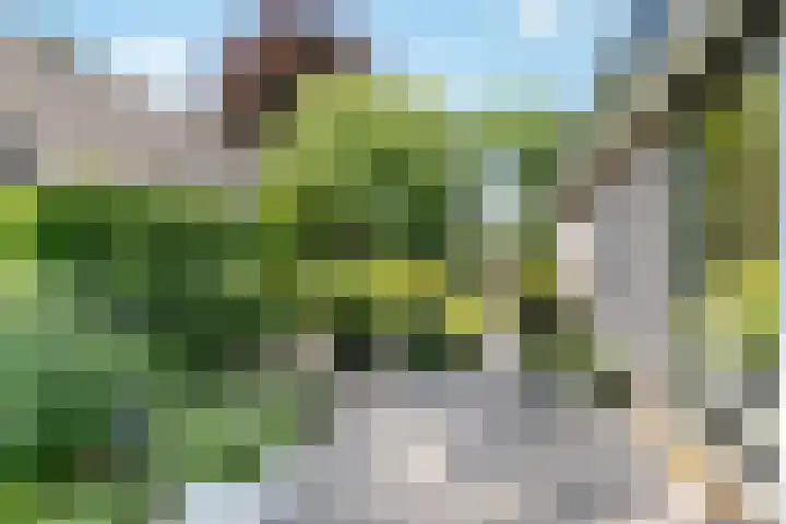 Breezand 20 Zeewolde thumbnail 41