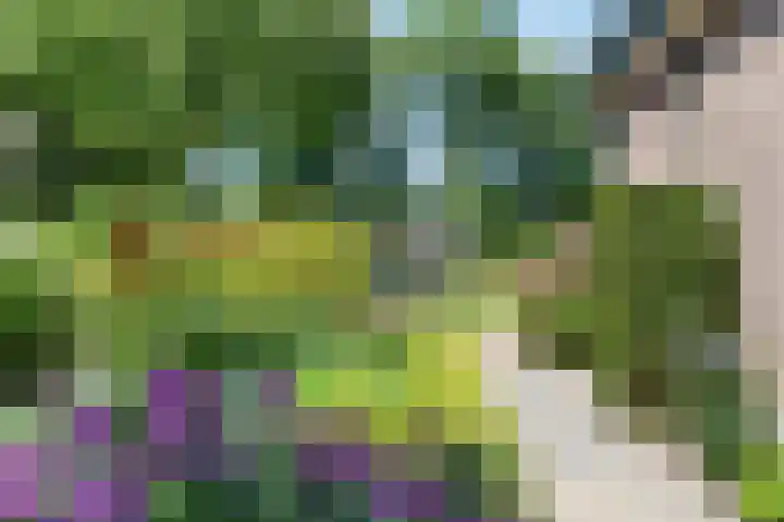 Breezand 20 Zeewolde thumbnail 43