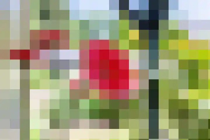 Breezand 20 Zeewolde thumbnail 44