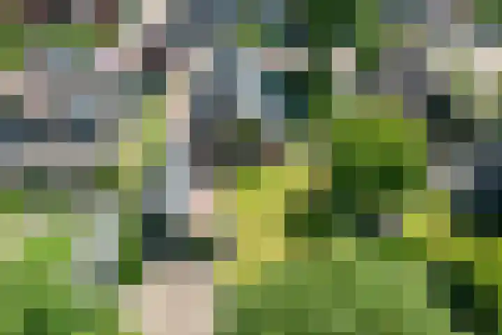 Breezand 20 Zeewolde thumbnail 47