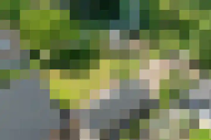 Breezand 20 Zeewolde thumbnail 48